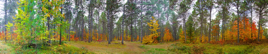 Forest_Pano2.jpg Forest_Pano2.jpg