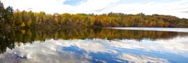 Lake-Trees_Pano.jpg