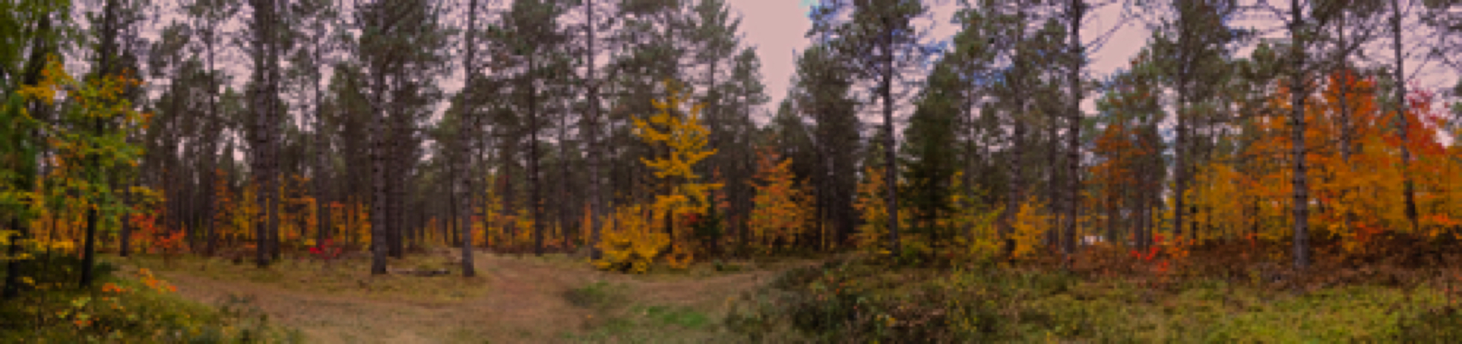 Driftwood Provincial Park, ON, Canada