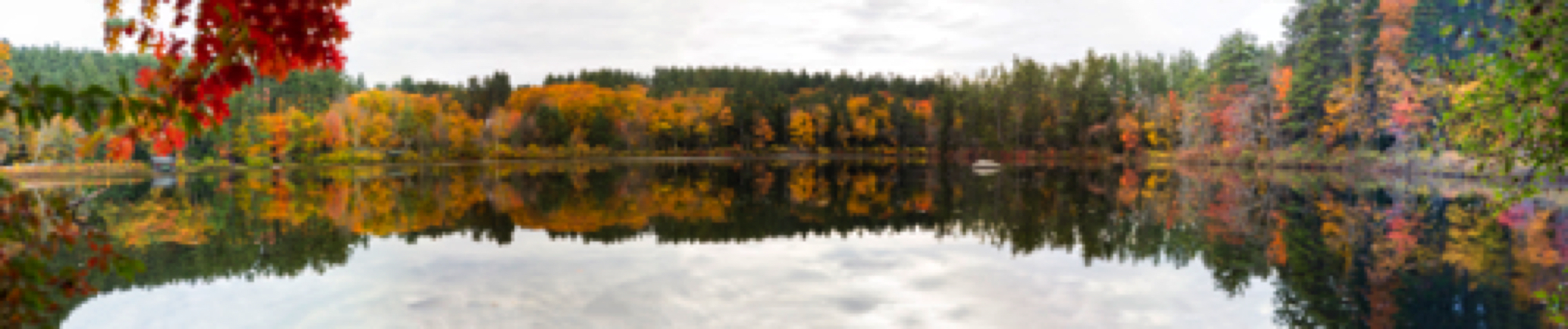 Pond_Pano.jpg