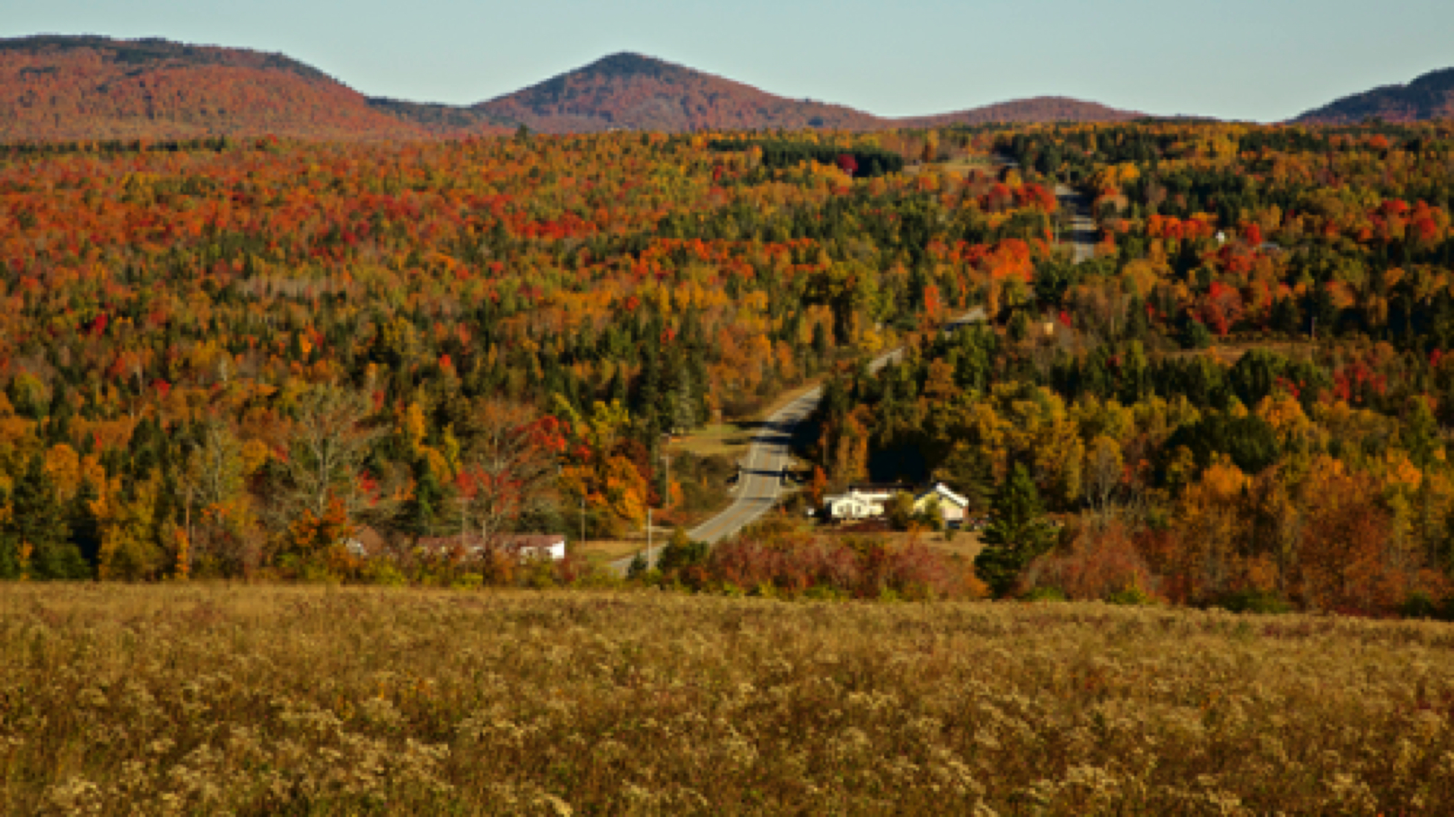 Northern Maine