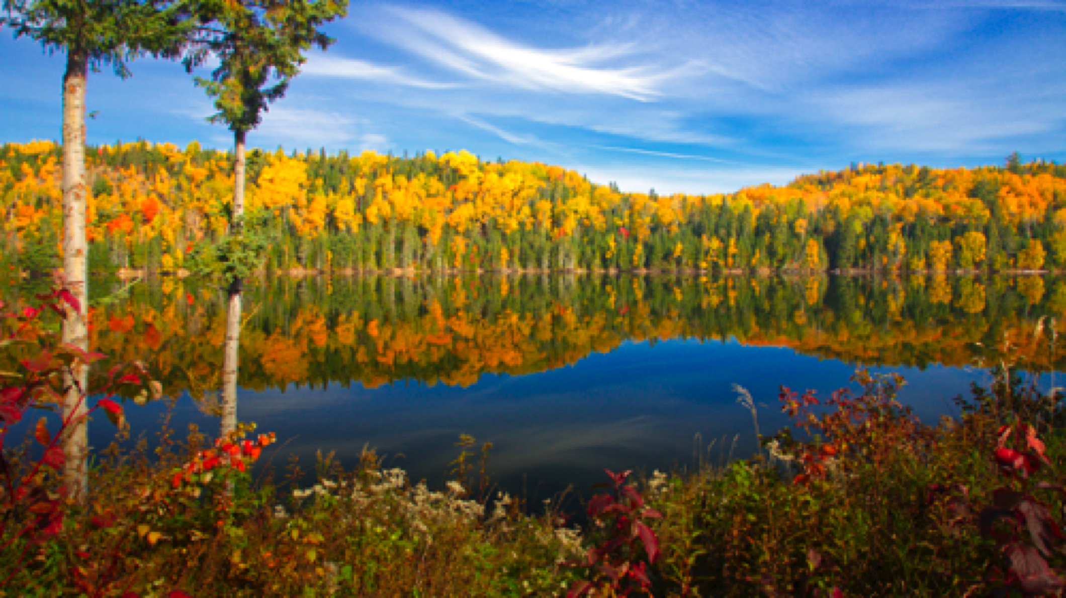 Reflection - St. John River, New Brunswick, Canada