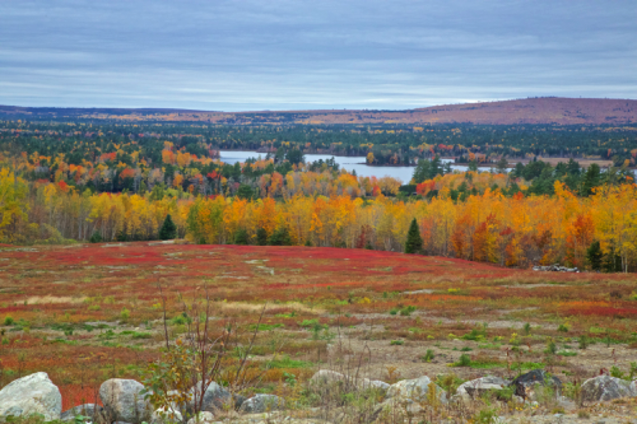 Maine