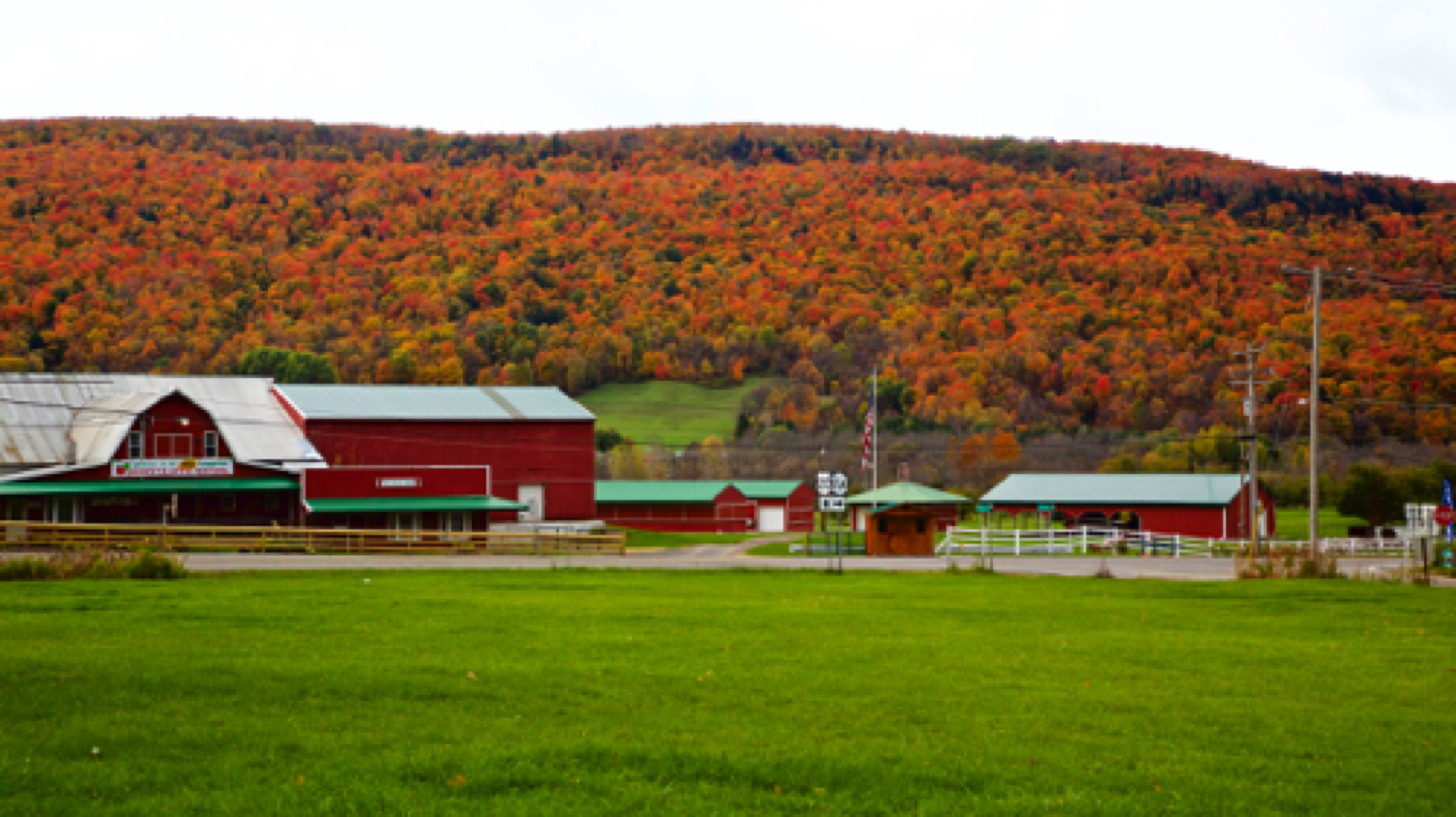 Near Lafayette, NY